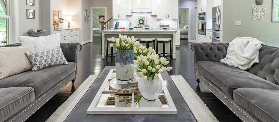 Kitchen and living room